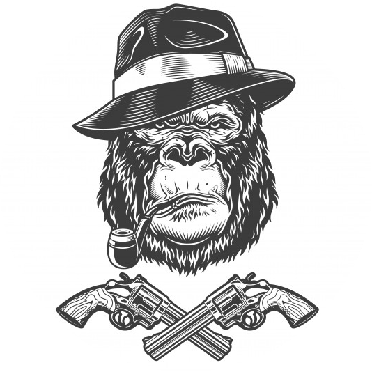 Tech Support Guru LLC - Bonzo Gonzo